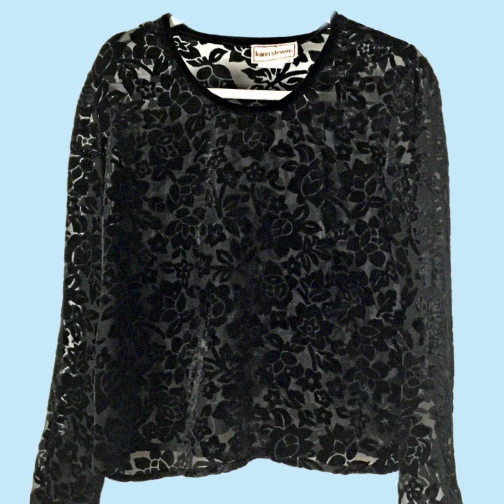 Karin Stevens Sheer Top Velvet Embroidered Trim 14